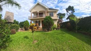 Kili Kivuli - Msaranga - 0