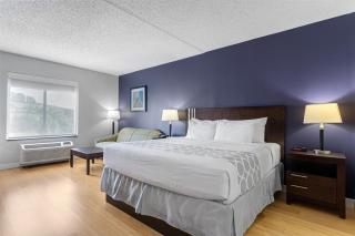 Best Western Garden Inn - 7