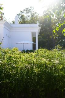 Casa Rã - Architect Edition - 7