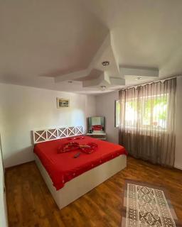 Casa Ani - Eforie Sud - 0