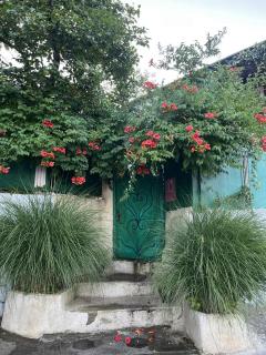 PETREIBERY Garden - Kutaisi - 7