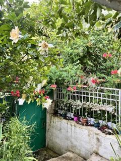 PETREIBERY Garden - Kutaisi - 9