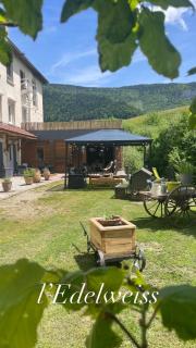 Gîte Edelweiss Saint-Martin-en-Vercors - - 0