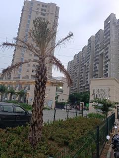 Urban Home Stay - Gurgaon - 3