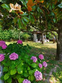 Villa Angelica - San Bartolomeo - 3