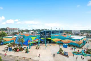 1 Bedroom - Myrtle Beach - 3