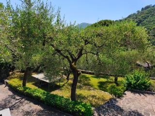 Villa Angelica - San Bartolomeo - 5