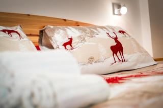 LAB House - Madonna di Campiglio - 8