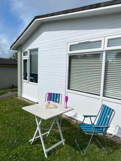 Dart Dream - Dartmouth - 9