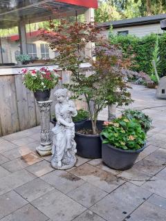 De Bosvlinder - Hoenderloo - 6