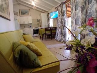 The Pool House - Saint Philip - 8