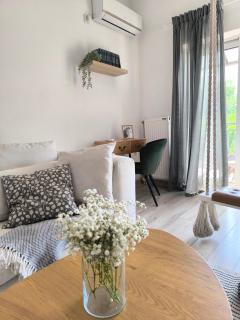 Apartman Dositej - 5