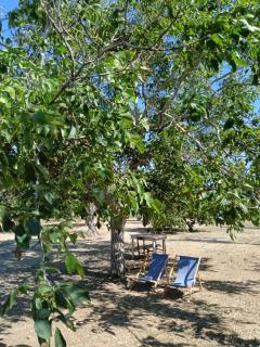 La Sosta del Viandante - Camping - Muro Leccese - 1