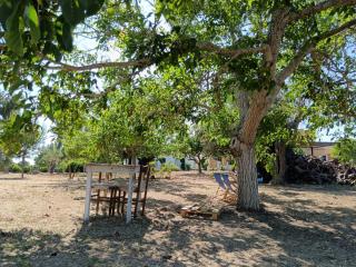 La Sosta del Viandante - Camping - Muro Leccese - 2