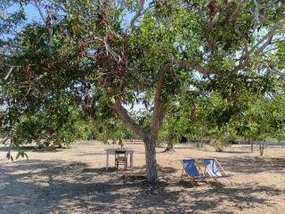 La Sosta del Viandante - Camping - Muro Leccese - 3