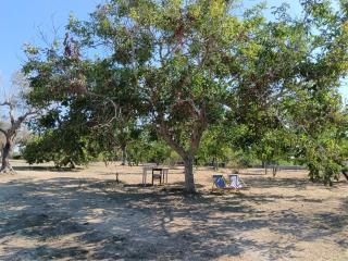 La Sosta del Viandante - Camping - Muro Leccese - 4