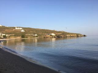 Ideal beach house - Kardiani - 4