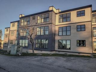 Stylish Condo Great Views Hot Tubs Close to Lift - Snowshoe - 9