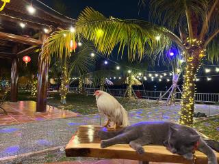 Điểm Hẹn restaurant, cắm trai, sở thú mini farm, câu cá giải trí - 9