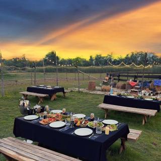 Điểm Hẹn restaurant, cắm trai, sở thú mini farm, câu cá giải trí - 7