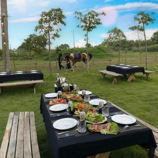 Điểm Hẹn restaurant, cắm trai, sở thú mini farm, câu cá giải trí - - 1