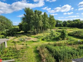 Landlejlighed - - 1