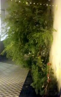 New apartment - Taif - 8