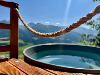 Hochleiten-Gut - Niedernsill - 8