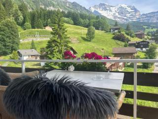 Guest Rooms with a great view at Residence Brunner - Wengen - 7
