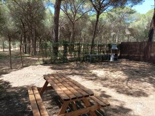 Apartoyou - Mobile Nature Home - El Puerto de Santa María - 2