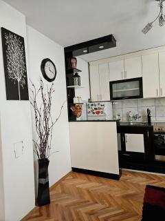 Guesthouse Radošević - Bajina Bašta - 6