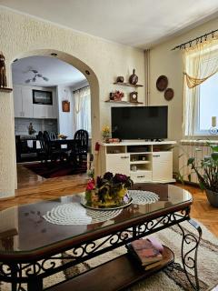Guesthouse Radošević - Bajina Bašta - 0