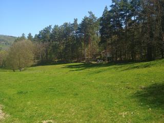 Casa Padurarului - 1