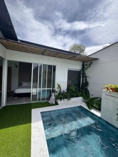 Animadbali - Ibagué - 4