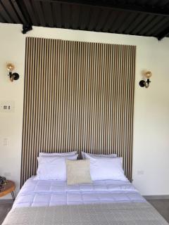 Animadbali - Ibagué - 7