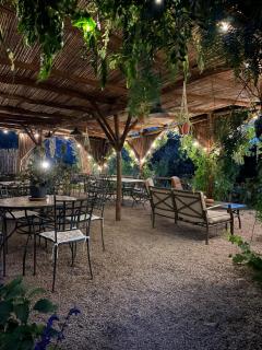 Agriturismo L'Olivara - Piano di Sorrento - 8