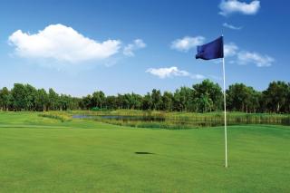 Wyndham Fairfield Glade 1BR Apartment with Resort Access - Fairfield Glade - 4