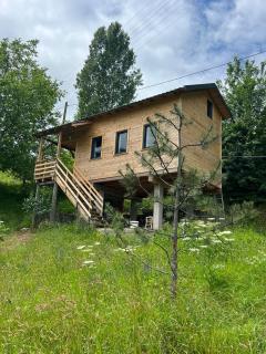 Ali's House 61 - Anayurt - 8