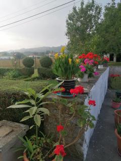 La Casa de Colores - 1