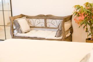 Au temps pour vous - Le Castellet - 8