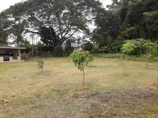 Homestay Aisarah - 4