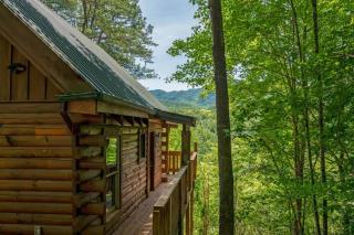 Nice View Log Cabin Fireplace Hot Tub Pool Table - 9