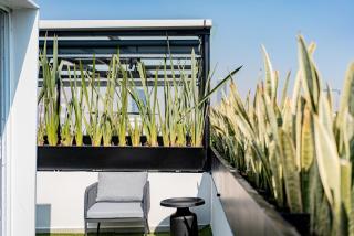 Mint Roma Residence - Mexiko-Stadt - 7