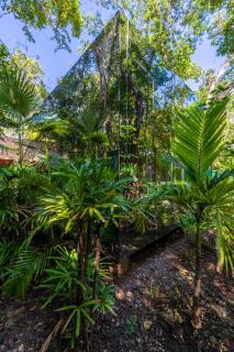 Chay Glass Jungle House - Tulum - 6