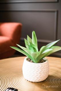 Studio 21 charme et confort au coeur de Magog - Magog-Orford - 6