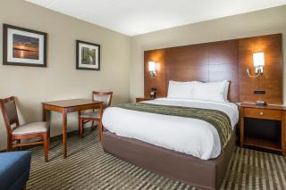 Comfort Inn Hammond I-94 - Hammond - 6