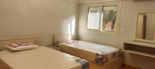 Authentic Creative Nile-Side Nest BR1 - Cairo - 8