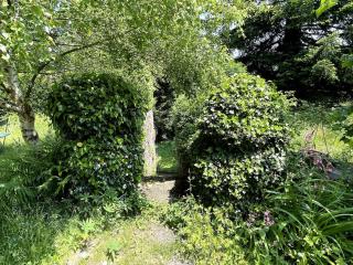 House in le Chambon sur Lignon - Le Chambon-sur-Lignon - 6