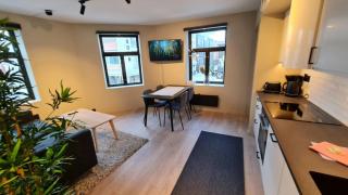 Central and Spacious Apartment for 6 - 8