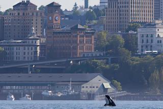 Old Tacoma Victorian Charm with water views - Tacoma - 9